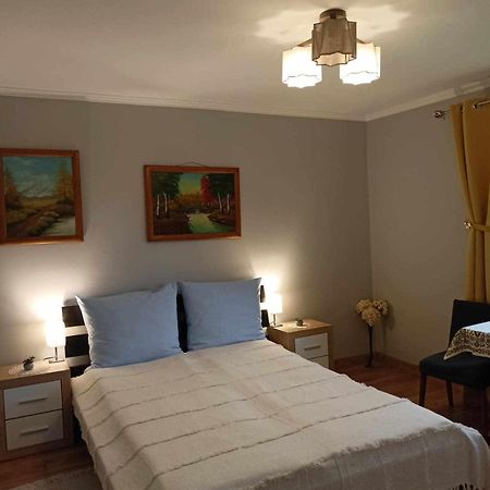 Mroczkowka Apartman Debowiec  Kültér fotó