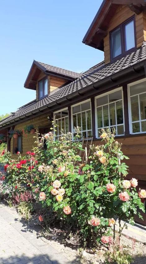Mroczkowka Apartman Debowiec  Kültér fotó