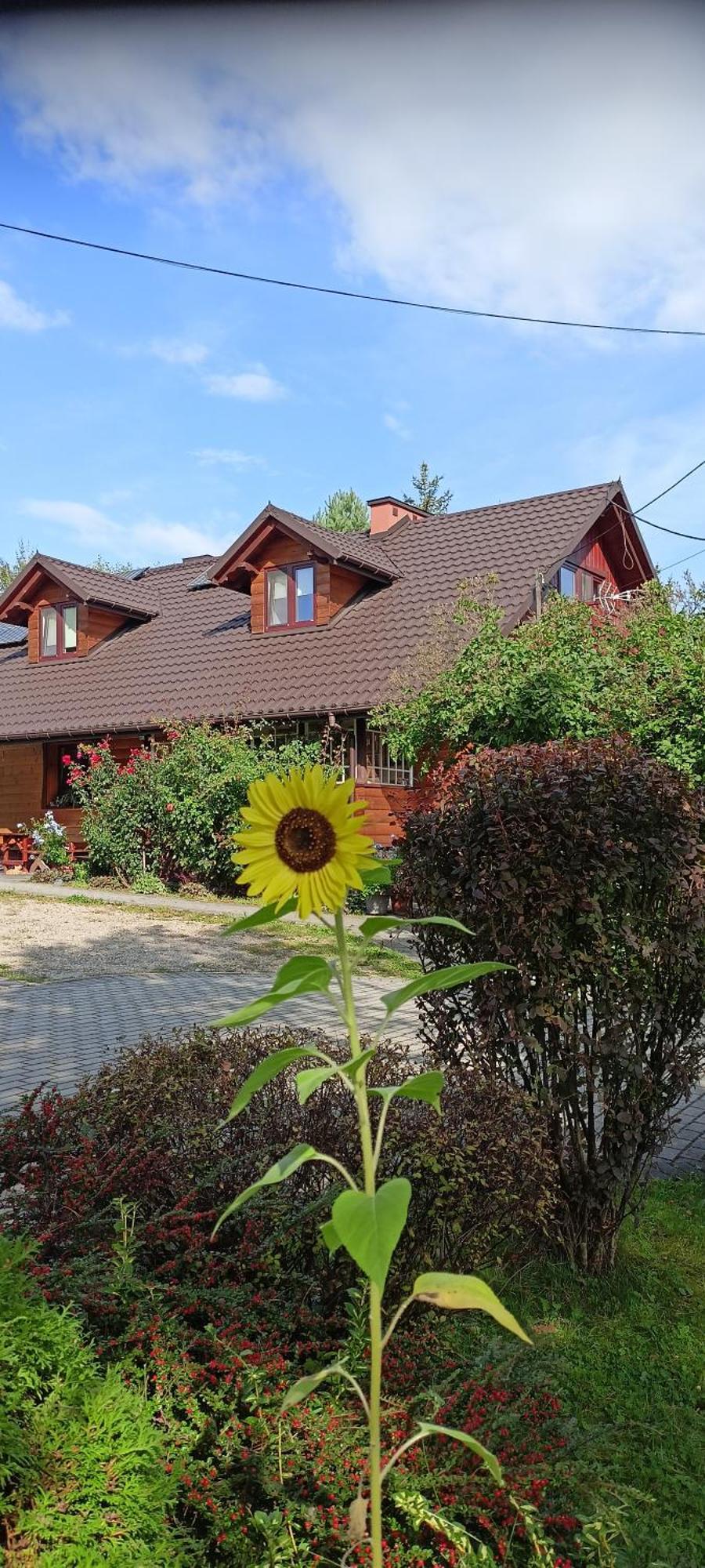 Mroczkowka Apartman Debowiec  Kültér fotó